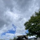 백년펜션 | [강릉숙소] 강릉김씨네 탱자나무집 | 강릉 시내 한옥 독채 펜션, 강원도 여행 중앙시장 근처 6인 숙소