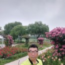 장미원 당구장 이미지