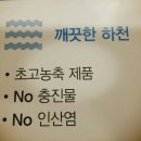 센스라인 네이버블로그