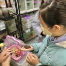 와우펫앤쥬(기장점) | [부산여행]와우펫앤쥬 부산기장점&amp;봉식당