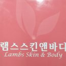 램스스킨
