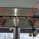 지에스25고덕안재홍로점 이미지