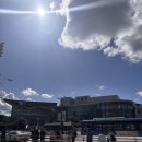 (주) 신영노동조합 | 영화 얘기보다 술과 음식 얘기가 더 많은 2025 부국제 후기