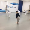 용인대 청룡 태권도장 이미지