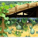 마비정 누리길 이미지