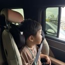 알팔파 | 스완두 뉴찰리 알팔파베이지 + 발판 구매후 사용후기