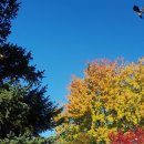 뒷뜰이예쁜집 이미지