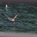 아름따다 이미지