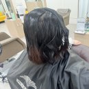 고운동_세종중앙타워 | 세종시 미용실 고운동 헤어는 클리닉단발펌 잘하네