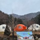 백운장뇌삼관광농원 | 강원도 원주 아기랑 겨울 캠핑 '포레스트 돔' 글램핑 가족 펜션