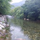 용문산장펜션
