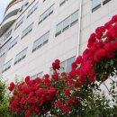 의료법인 장원 이미지