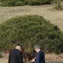 흙과소나무 이미지