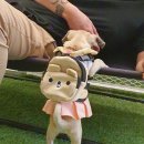 개순이상점 이미지