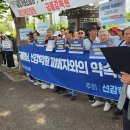 선감 이미지