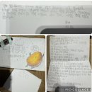 국제횟집 | 부산 강서구 명지국제 신도시 맛집 / 한라 횟집 / 내 돈 내산 찐 후기 / 회 곁들이 찬 맛집 추천드려요~!