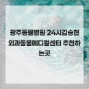 광주24시스카이동물메디컬센터 | 광주동물병원 24시김승현외과동물메디컬센터 추천하는곳