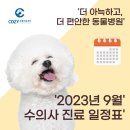 코지동물의료센터 서구청점 이미지