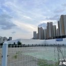 신수로671번길 네이버블로그