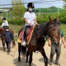 석송초등학교 이미지