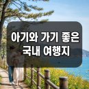 해변농장 | 아기와 가기 좋은 국내 여행지 지역별 정리
