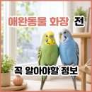 화성애완동물용품 | 애완동물 화장 전 필수 체크│반려동물 화장 비용부터 절차, 실제 후기까지 총정리