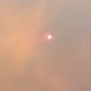 동해시-64 이미지