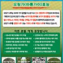 카리스팜스