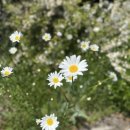 당산2리경로당 이미지