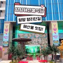속초,양양 신상 맛집&amp;술집 양양해산물식당! 양리단길에서 가까운 죽도,동산해변 바로 앞,해장하기 좋은...