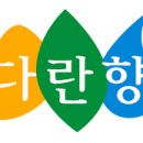 천연벽지