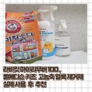 폴어린이집 | [내돈내산]라비킷 마이리무버 100vs 폴메디슨 키즈 고농축 얼룩 제거제 아기옷,찌든때 실제 사용후기 및...