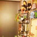 청룡동-40 이미지