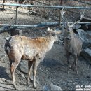 신리농장 이미지