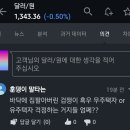 잠깐의 반등도 짓밟혀버린 달러환율 이미지