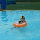 도경약품 이미지