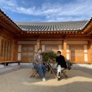 시은재 - 경주시 | 시은재