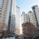 다산동사무소 이미지