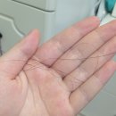 매실헤어