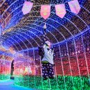 로맨틱 제주 이미지