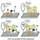 심심풀이 이미지