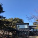 트리팜(TreeFarm)