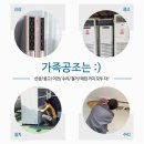 야피시수리 이미지