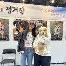 펫스탑 | 스탑오버 제주, 소녀시대 유리님 다정해 천사다