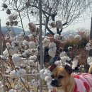 두호경로당 이미지