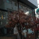 카페메리엘 이미지