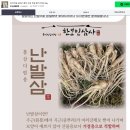 한보인삼사