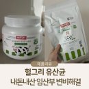 임산부 변비해결 헐그리 유산균 내돈내산 찐 후기, 매일아침 키위 케일 푸룬주스 효과후기