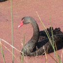 임마누엘 축사 이미지