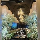 홀라우스 이미지